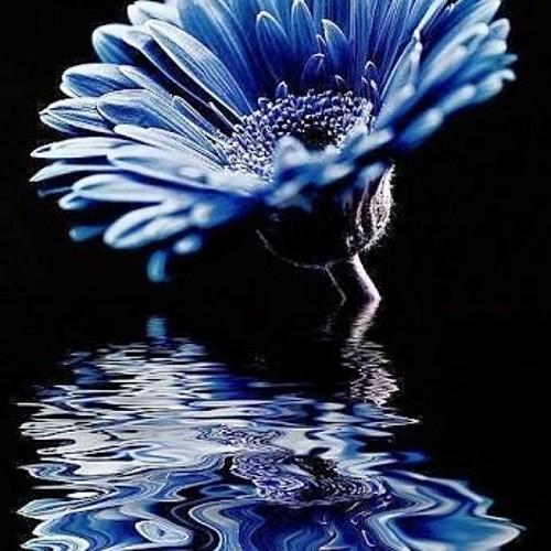 ismestieff's profile picture. Fan de bonne musique  et d humour  et de paix. Ainsi que de bonnes séries et bons acteurs car tout le monde a un rôle a jouer...