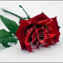 mukaddes BAŞAK (@02basak02) Twitter