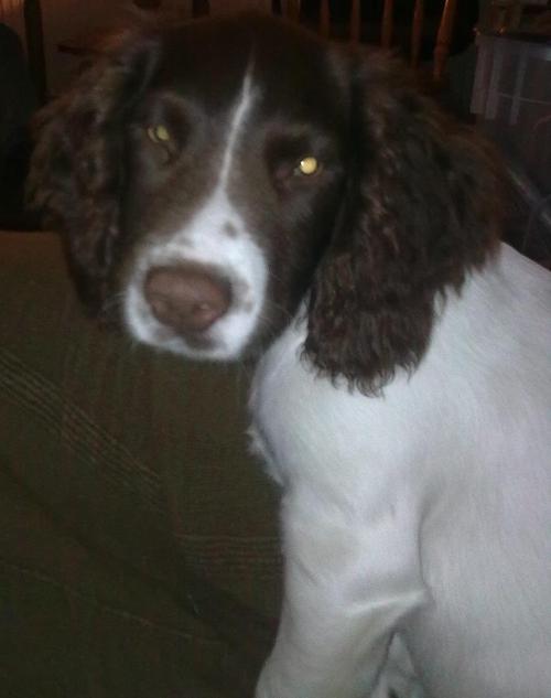 BUDDY1968's profile picture. 