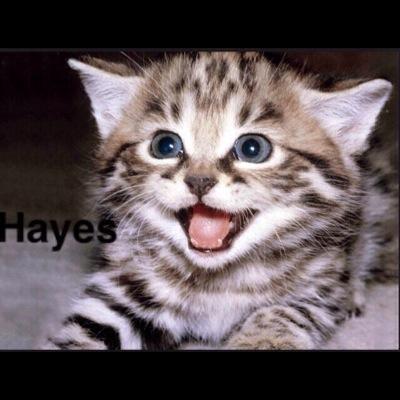 roniegirl101's profile picture. ok people i am a youtuber obsessed teanage girl and some of you know me bur some dont but here i go you can follow me on tumblr my blog is about youtubers k bye