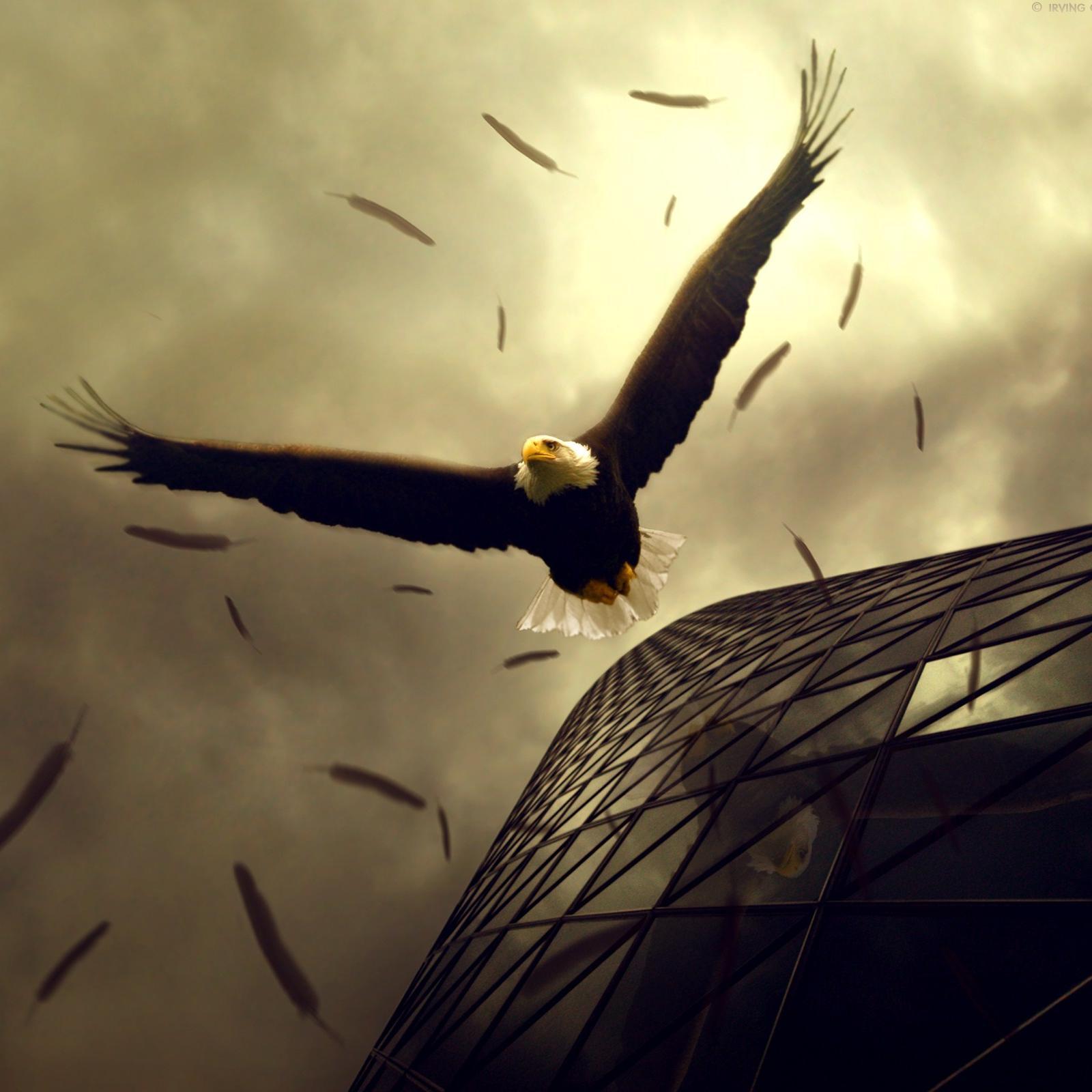 Bring a positive change in the society, #Inspire and #motivate others to #conquer the difficulties around you.