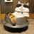 きな粉ダイバーのアイコン