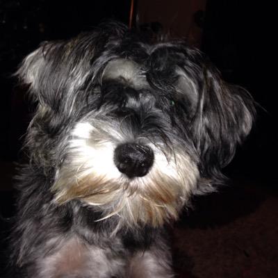 HolbornLaw's profile picture. Chartered Legal Executive, Leeds fan, crap golfer. Retweets are not endorsements but could be to expose views I find repugnant