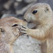 clovemad's profile picture. just a mama