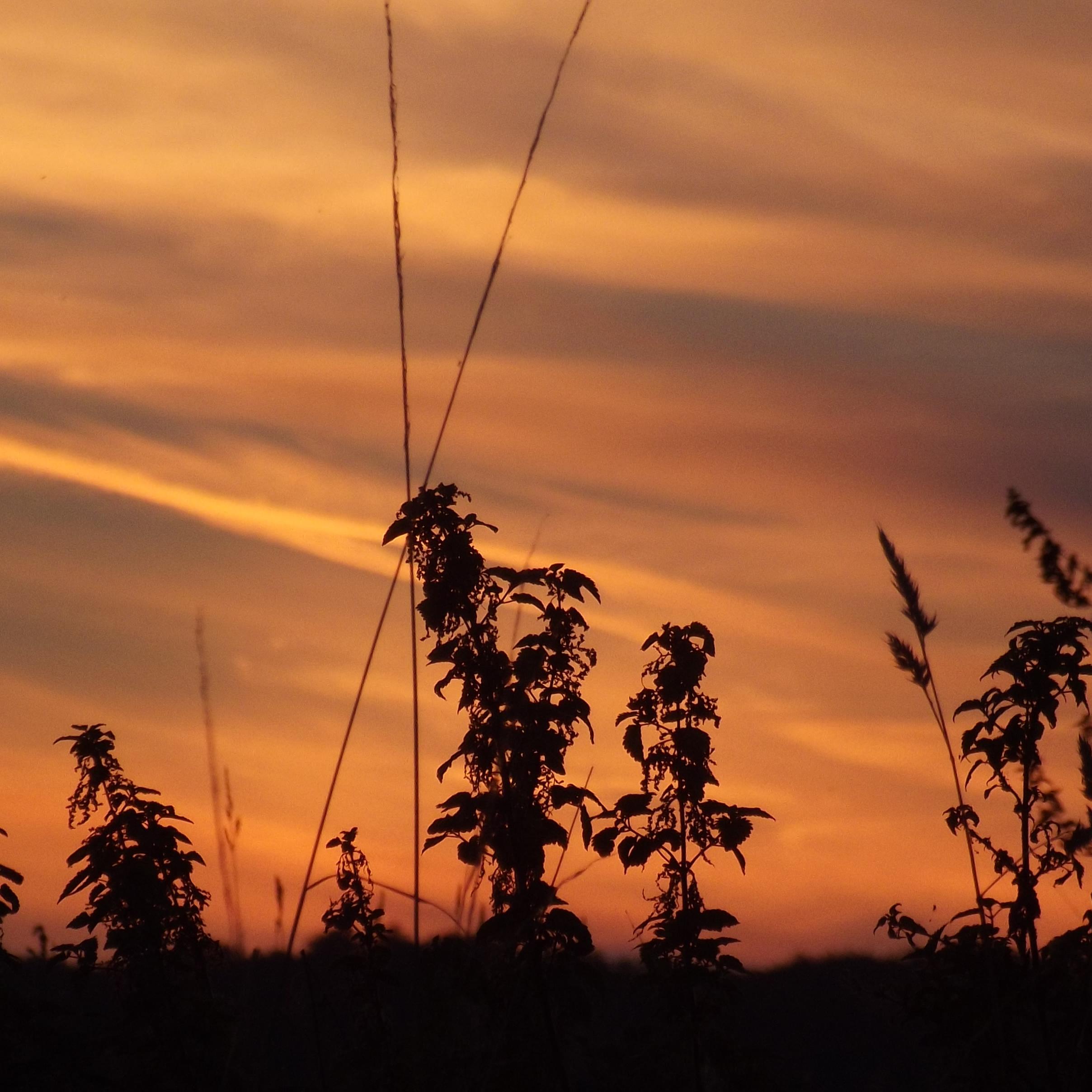 Frederik_1996's profile picture. Kann Spuren von Ironie und Aggressivität enthalten.   - @Frederik2_0