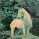 Will Grey - @WillGrey4 - Twitter