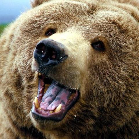 Добрый и сильный, справедливый. Суров с врагами.