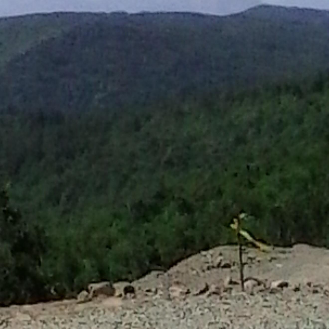 AhmetYetim27's profile picture. 