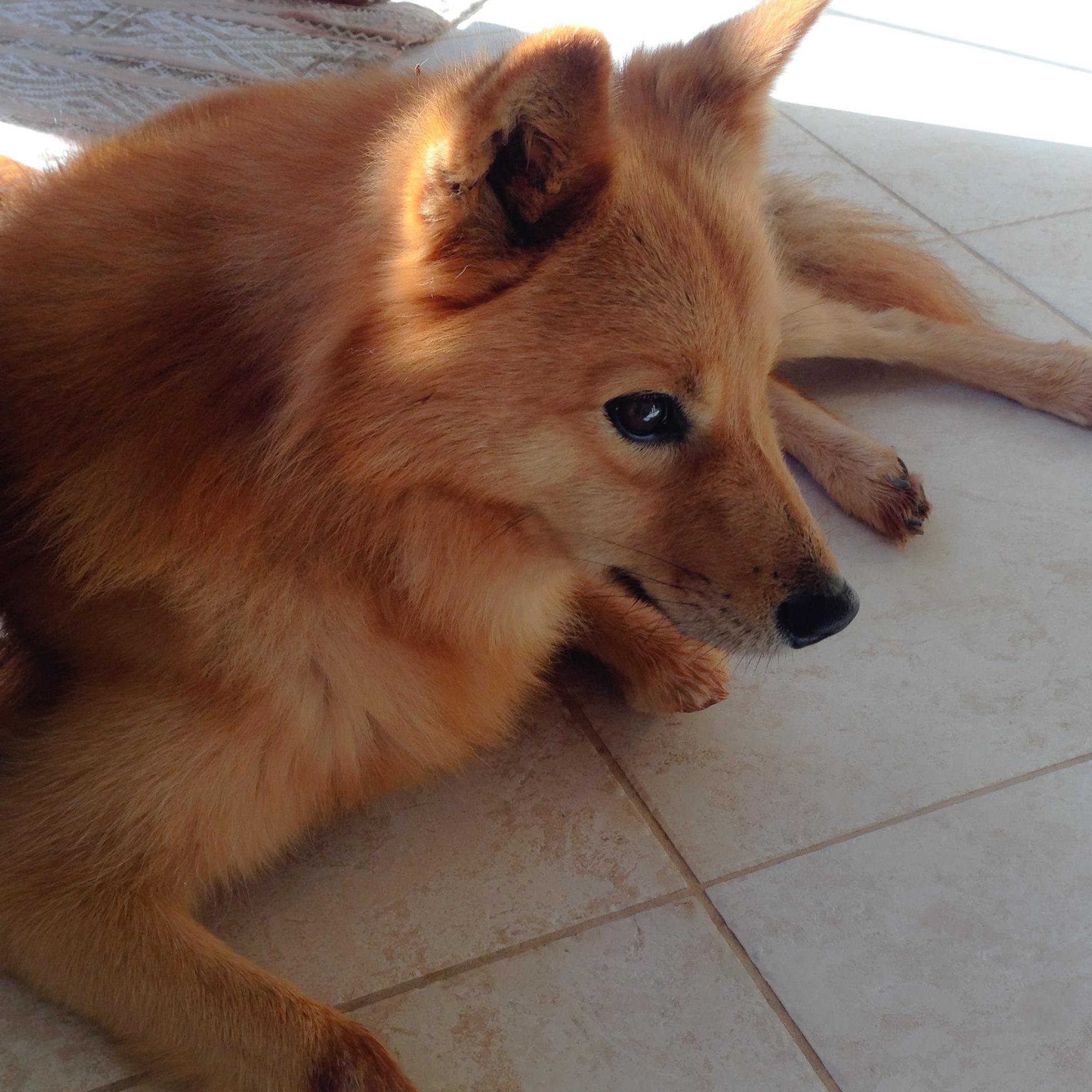 akogidc's profile picture. ワシントンDCでひっそりと暮らしています。Applied Economics M.A. in Economics 🌈