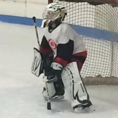 hockey #17 north stars\right wing/goalie~Bruins-Kings