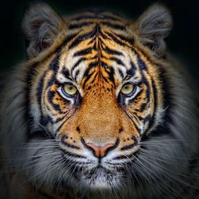 MOVED TO @marketingLDC 
PLEASE FOLLOW ME