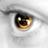 RotacionGH2's profile image