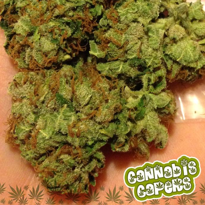 Enjoying the benefits of #Medical #Marijuana & sharing my #adventures. #Cannabis #Cures #LetMyPeopleGrow #IntelligentStoner #AwakenedGang #StonerFam #WeedSquad