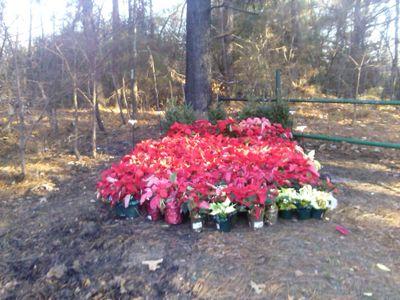 ashleyryna9's profile picture. 