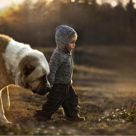 jiwa_yanghidup's profile picture. 