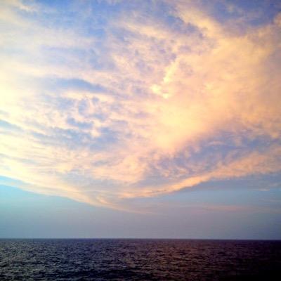 irum_505's profile picture. 