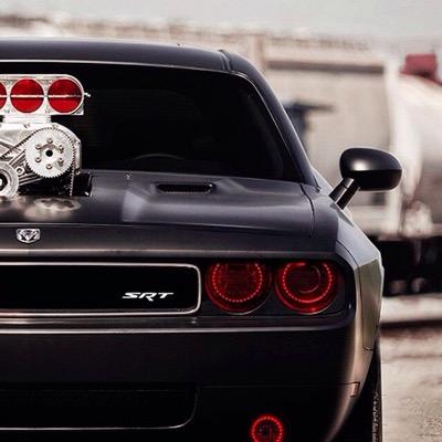 dakotamarkum's profile picture. 