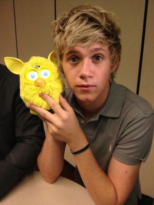 I'm A Teen Who Loves Niall, Just That   #OneDirection    I'M Lovatic #DemiLovato