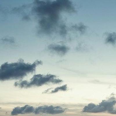 josie7390's profile picture. feminist and animal lover