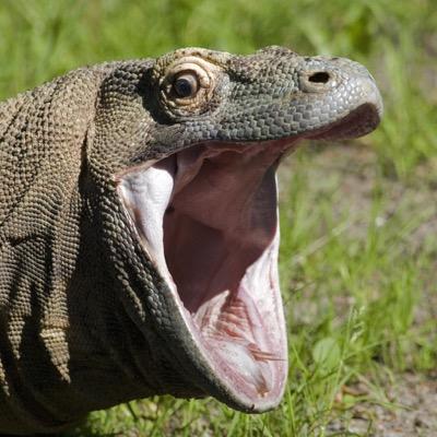 Free Famliy Guy Porn Sore Throat After Sucking Dick