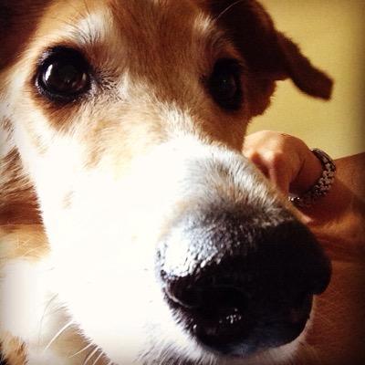 tylerleigh's profile picture. Mommy of 2 boys