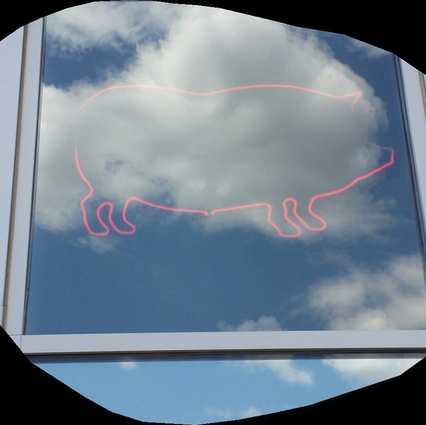 john_localhop's profile picture. I think. I observe. It’s a wild world. I say it straight, unfiltered. You don’t have to like me.