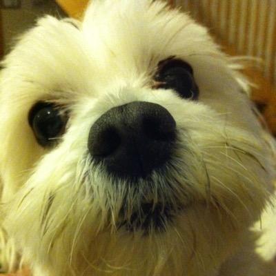 crackedpots's profile picture. I need to take a break from Twitter until Elon et al are gone.  Former bio:  Democracy needs to be protected! Vote, and then take someone else to vote!