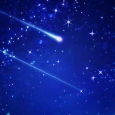 さくや＊成人済＊女性＊お取引についての詳細はツイフィールにて※必読ではありません(2025/3/12更新)