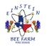 Einstein Bees (@einsteinbees) Twitter profile photo