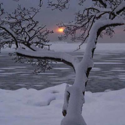 true1100's profile picture. 