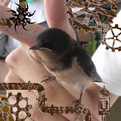 voice_th's profile picture. 所持ルルブ：グランクレスト/SW2.0/シノビガミ/キルビジ/アマデウス/ビギニングアイドル/艦これ/クトゥルフ神話TRPG/ドラクルージュ/インセイン/AR2E/AL2/DX3/サイキックハーツ

電脳の海を漂い本棚を守護する全領域要撃支援工兵
リプレイ読みの人・謎解きエンジョイ勢
十六夜シュナウザー杖作とか厨ニコ厨