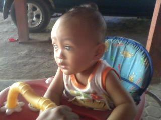 thole