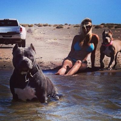 MvpBullies Twitter Profile Image