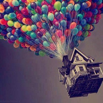 alejand80684216's profile picture. 