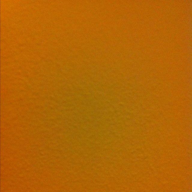 StCloudTigerLax's profile picture. 