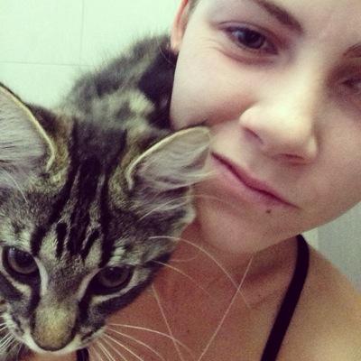 ShaeThomas92's profile picture. 