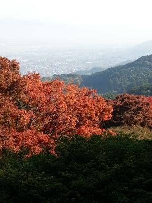 山登り初めました。福岡県に住んでます(*^^*)山ガール、山男さんアドバイスや色々な情報を宜しくです。