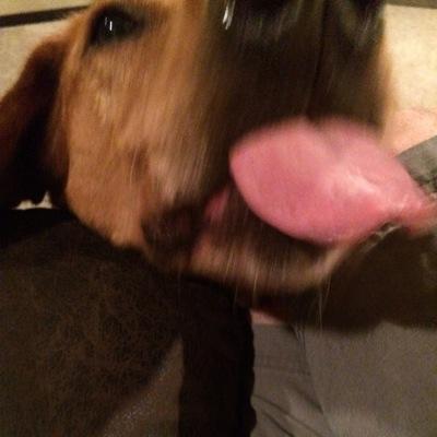 lkmoos's profile picture. 