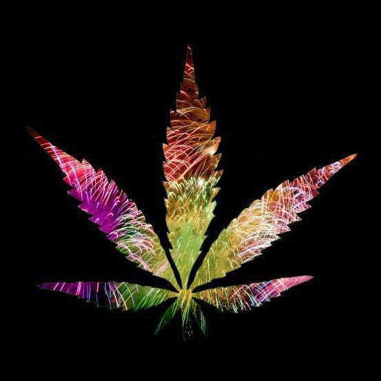 SativaWorks's profile picture. Hemp & Medical Marijuana Information