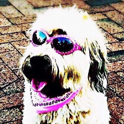 LIFE ====== LE@RN. INSPIR£. FIGHT. ENCOUR@G£. ====== FILE ====== FR££DOM. INSPIR£. LIF£. ENTIRELy. ========