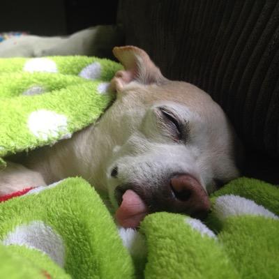 mrsmenardtoo's profile picture. 