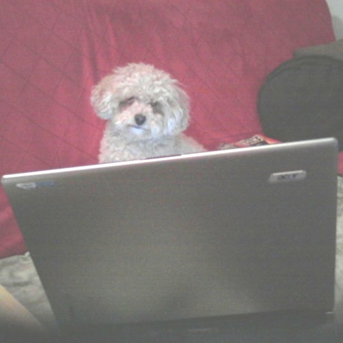 kludwick's profile picture. I was born, yadda yadda yadda, I'm on Twitter