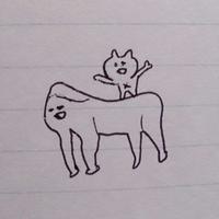 cat on the gorilla (@cat_o_t_g) 's Twitter Profile