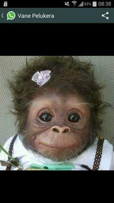 luisml_55's profile picture. 