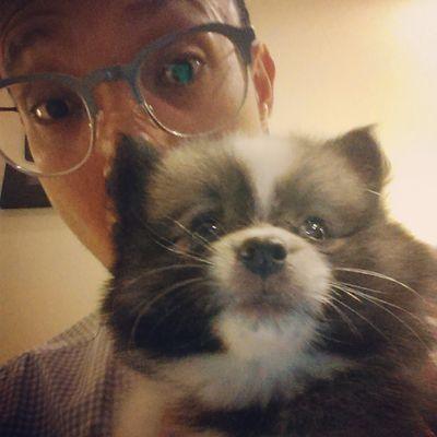 fortunekiki's profile picture. Graphic Design Whore, Music Aficionado, Closet Sports Jock, Ultimate Party Boy, Professional Drinker, King of Sarcasm, and a Goooooooooooooooooooooood Person...