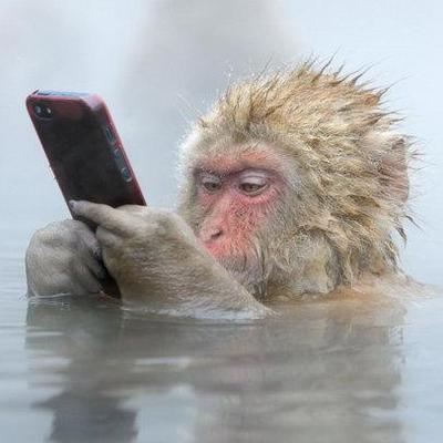 MiTelcelMX's profile image
