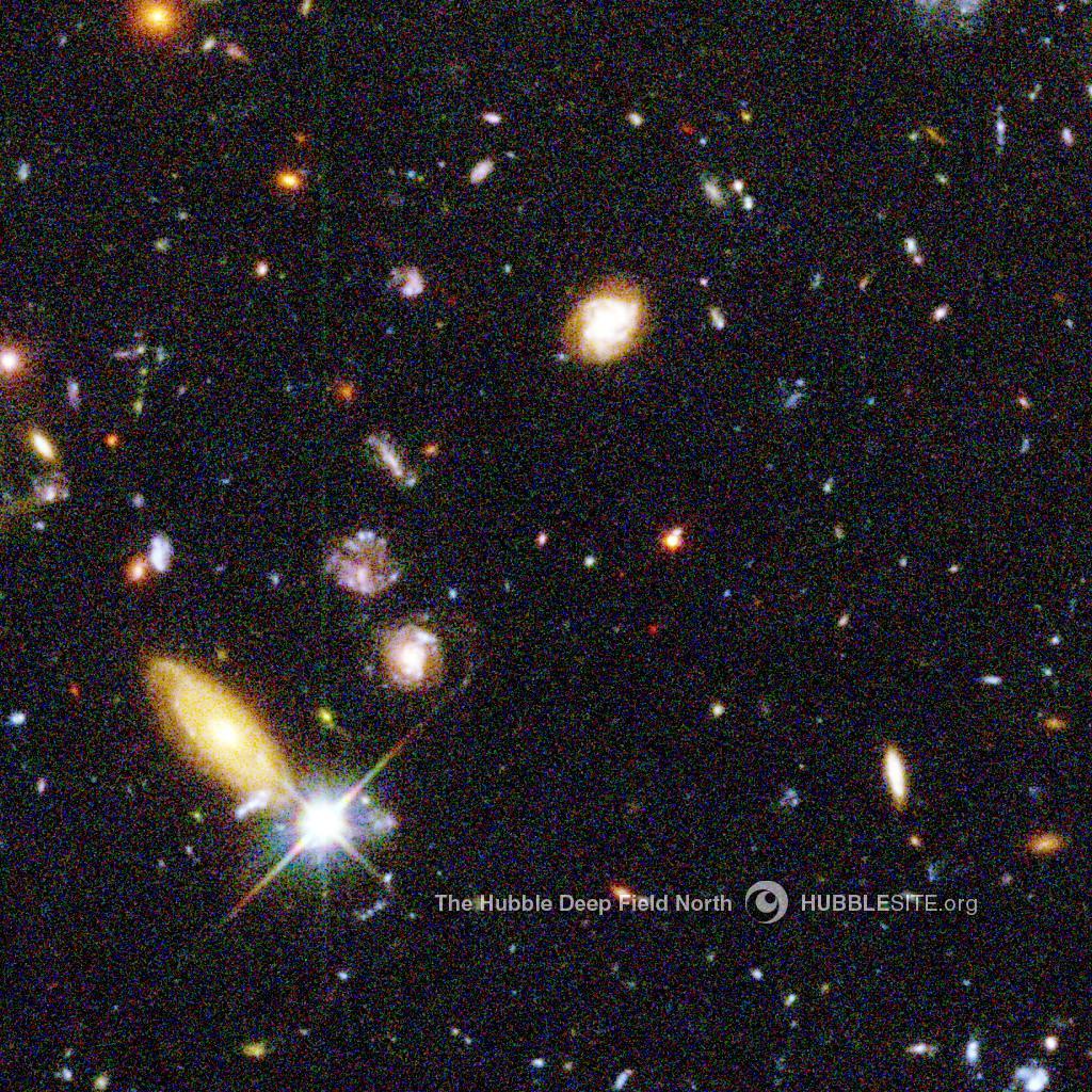 loganC's profile picture. 