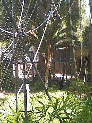 a8e5d96f86b64ee's profile picture. 