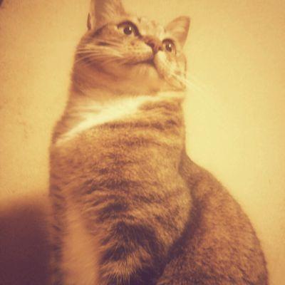 もんじゃさんのプロフィール画像