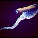 John Heath - @johnheath66 - Twitter